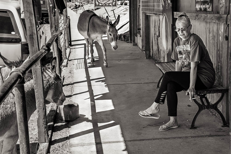 Oatman, AZ, 2019