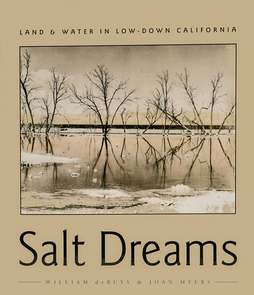 Salt Dreams Book