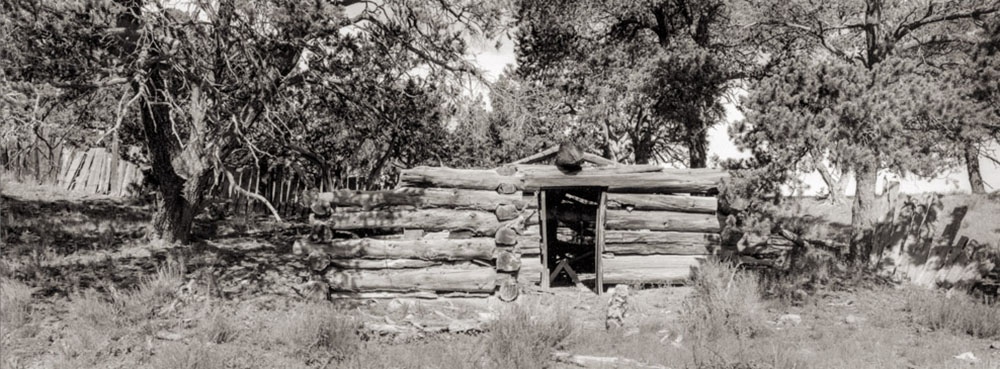 Rustic log cabin with open doorway in a wooded area.