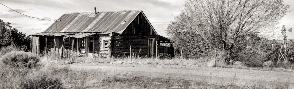 Abandoned hotel with a weathered tin roof and a large bare tree nearby.