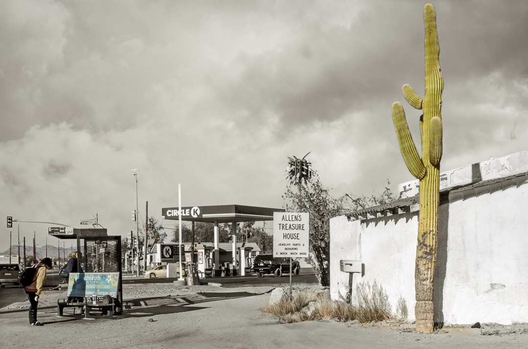 Urban Portraits 7 Cactus next to sign for Allen's Treasure House with gas station in background. Cloudy sky.