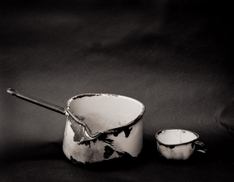 whispered-pan-cup Crevasse Ceiling